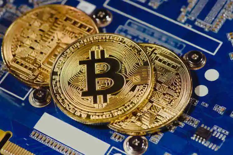 coinbase的意思_coinbase是什么公司