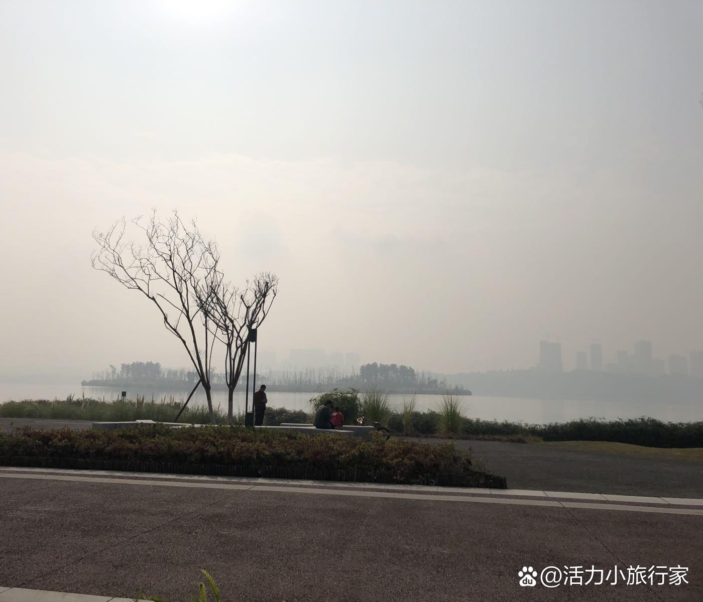 小众梯子推荐_有推荐的梯子吗