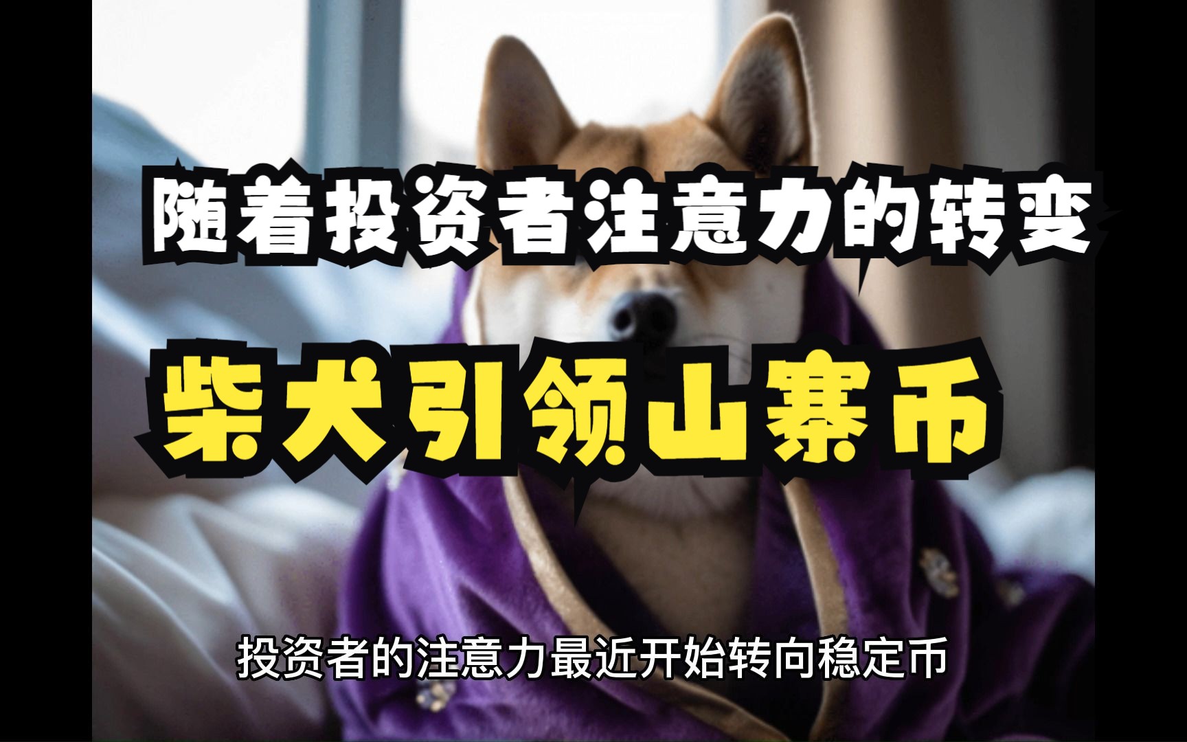 柴犬币值得长期持有吗_柴犬币2024年会涨到多少