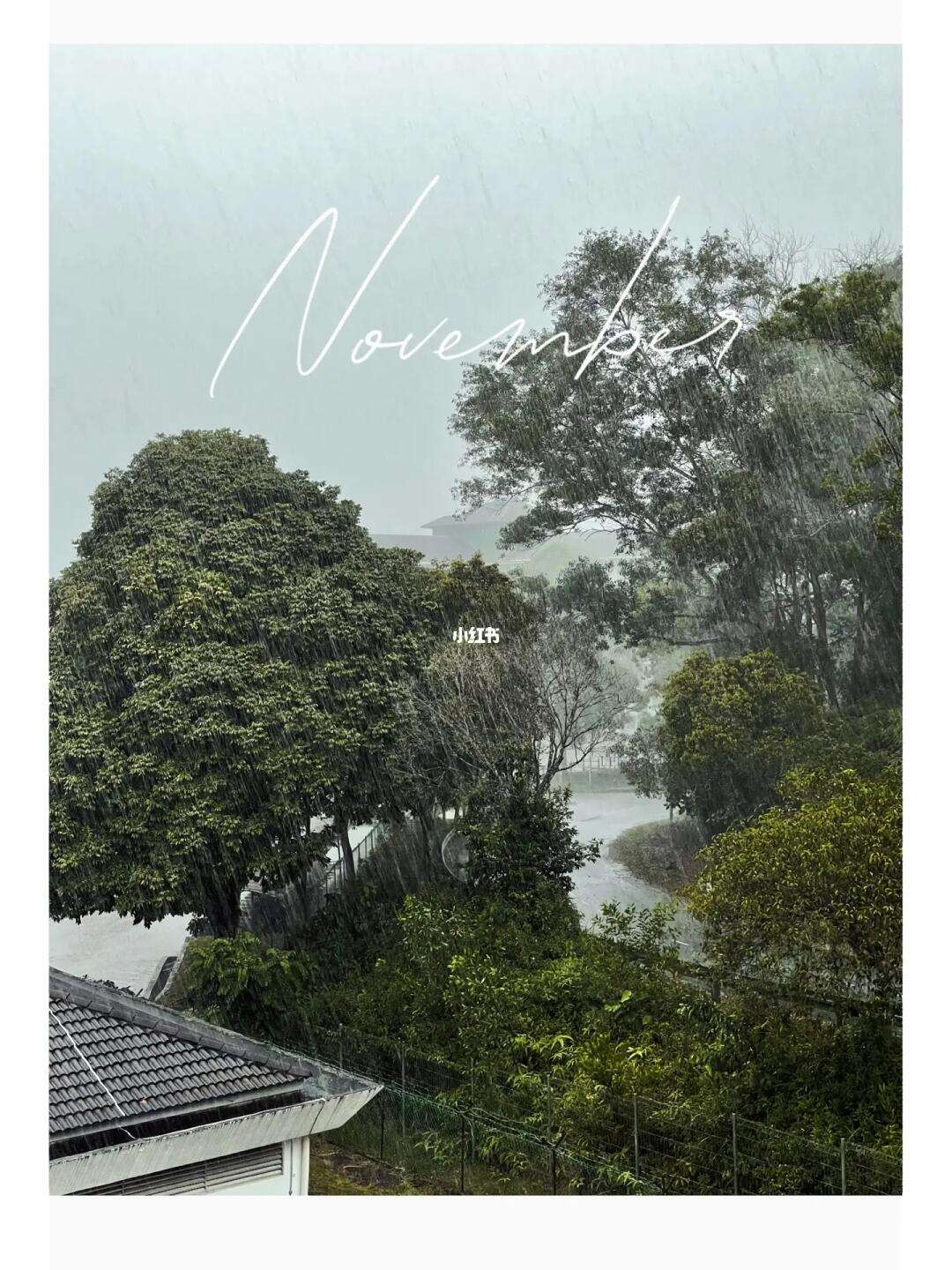 苹果手机下载utm_苹果手机下载软件要收费吗
