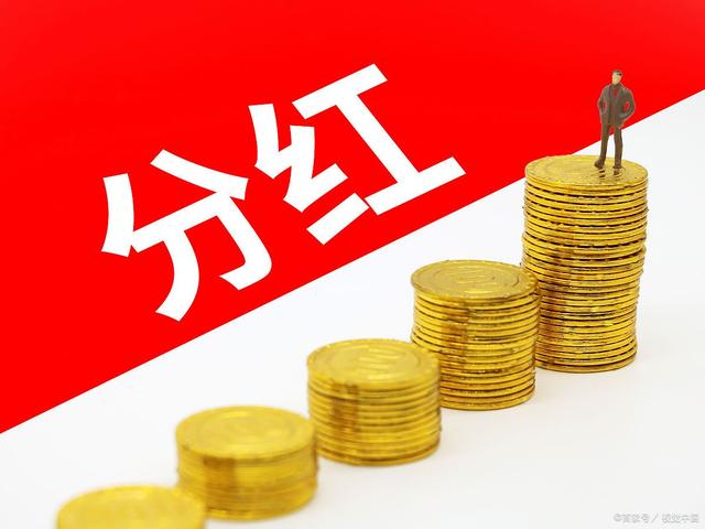 tp钱包pig没有分红_tp钱包发现里什么都没有