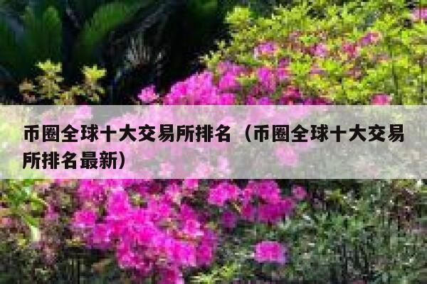 币圈十大交易所排名榜最新_币圈十大交易所排名榜最新图片