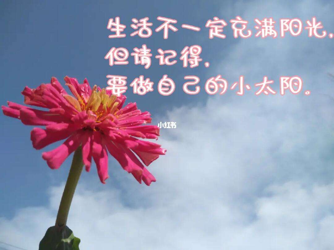 梯子tun要开嘛_梯子有必要开会员吗