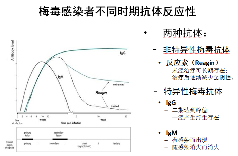 梅毒trust试验滴度步骤_梅毒trust检查和滴度检查