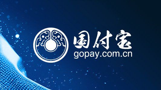 gopay支付平台注册_gopay支付平台下载官网