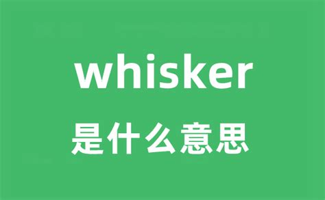 skype怎么读音发音英语翻译_skype for business怎么读