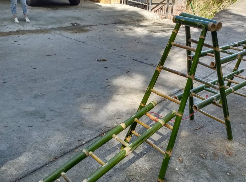 梯子主题活动_梯子主题网络图