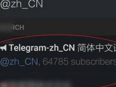 苹果纸飞机中文版怎么设置_苹果纸飞机怎么设置中文版教程