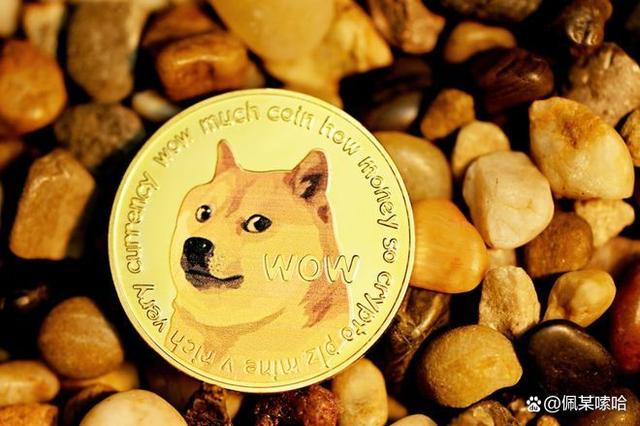 dogecoin狗狗币钱包_狗狗币钱包110版本里的币不见了