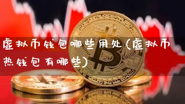 什么虚拟币钱包最安全_什么虚拟币钱包最安全可靠