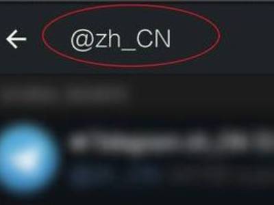 纸飞机苹果版怎么更换中文_ios纸飞机怎么设置中文版