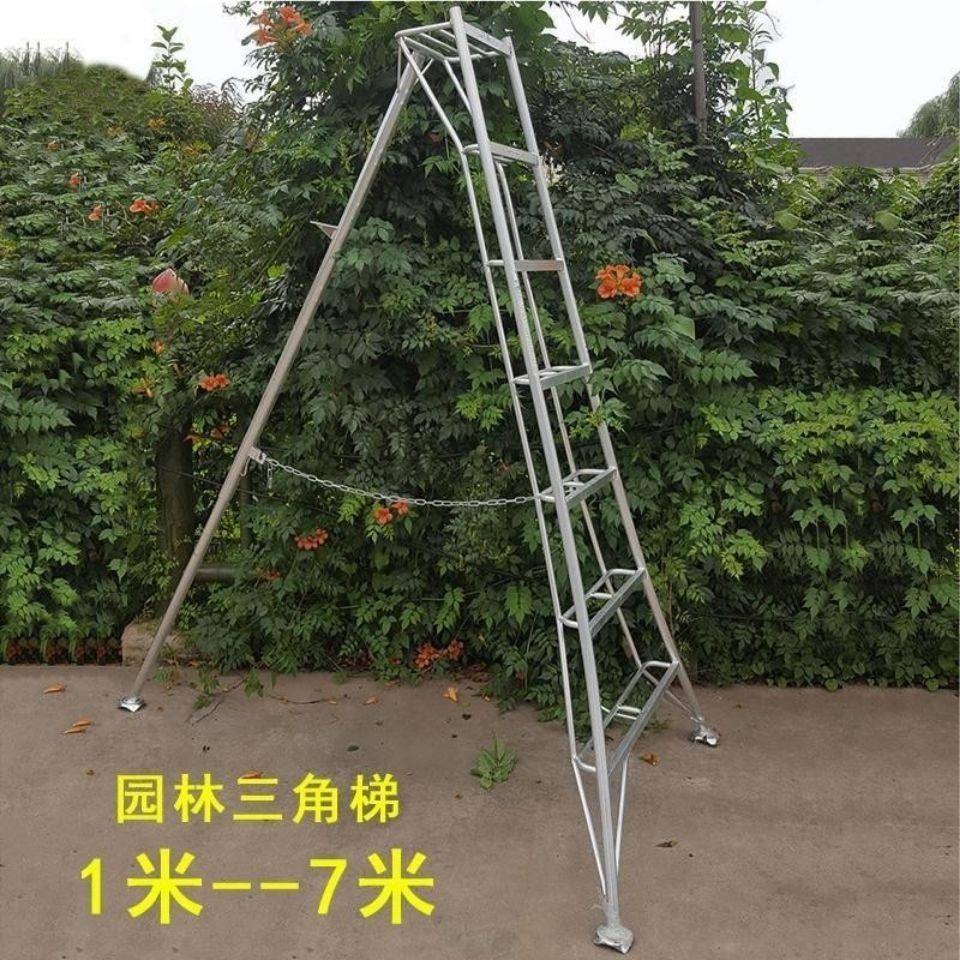 果树修剪时用的梯子_果树修剪时用的梯子图片
