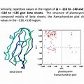 plastocyanin_plastocyanin antibody