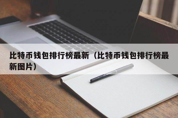区块链排名前十的钱包_现在区块链做的比较好的钱包有哪些?