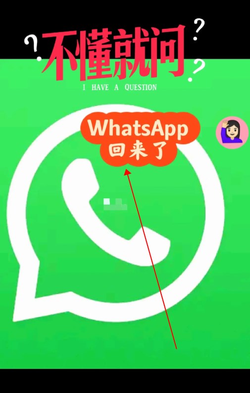 whatsappbusiness最新下载_whatsapp new version download