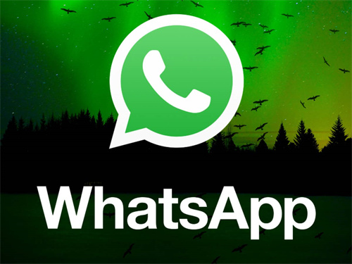 whatsapp怎么加好友_whatsapp怎么加好友教程
