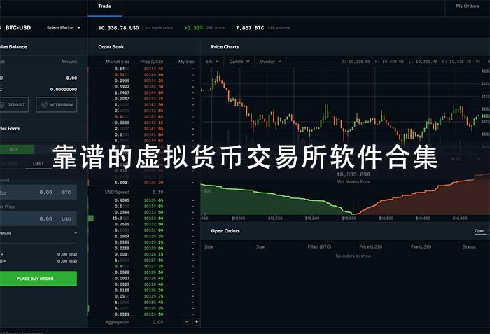 排名前十的虚拟币价格_虚拟币前十名的各币价格