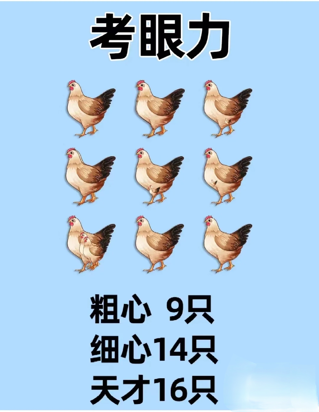 备多力分猜一动物_备多力分是什么生肖