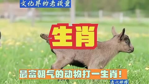 水满金山打一动物生肖_水满金山钱满仓指的是什么生肖