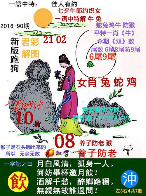 本期出码369是什么生肖_本期出码二六九,十二生肖最忠诚
