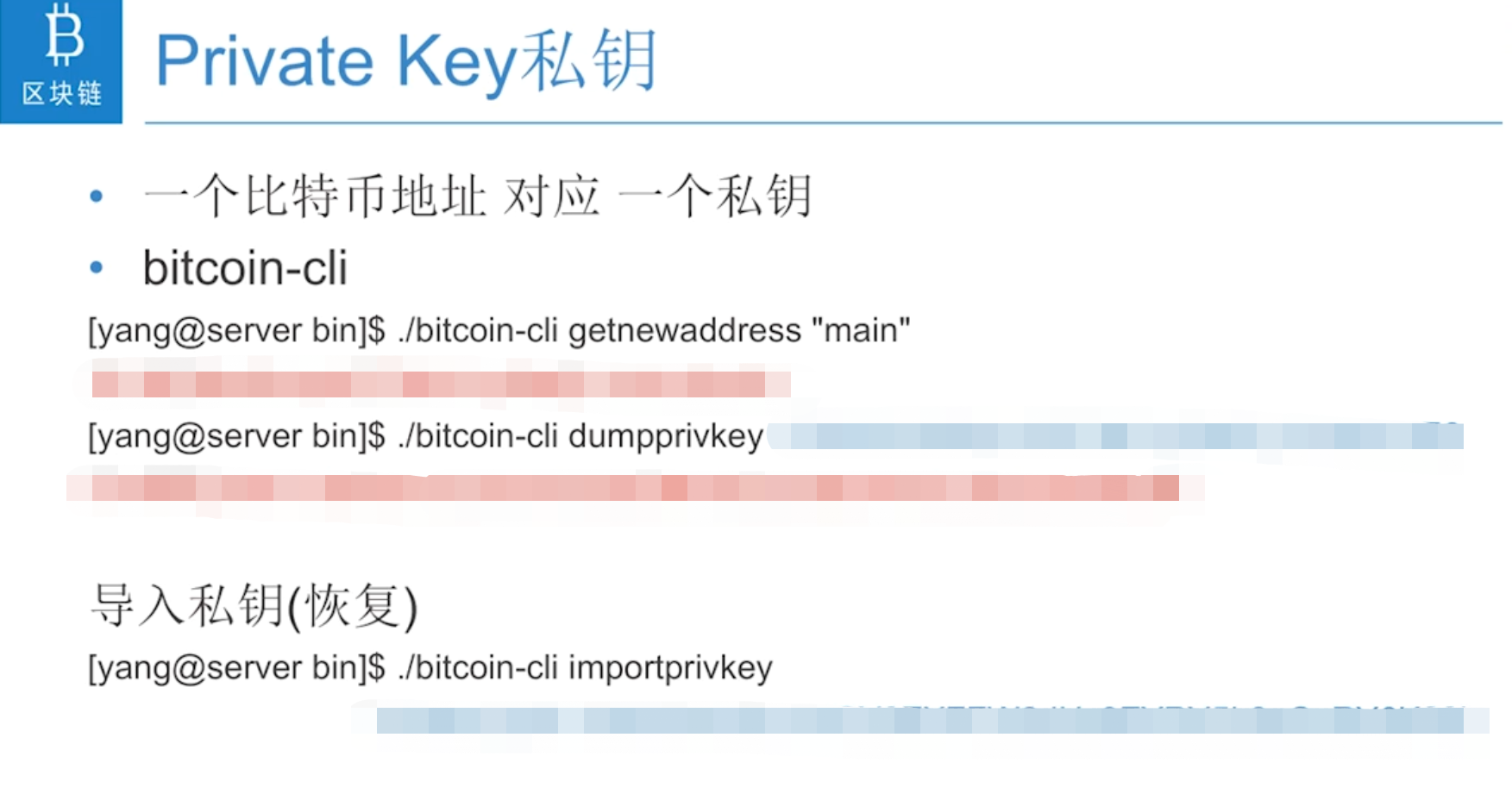 比特币是什么东西怎么才可以得到_比特币是什么东西,他是怎么运作的