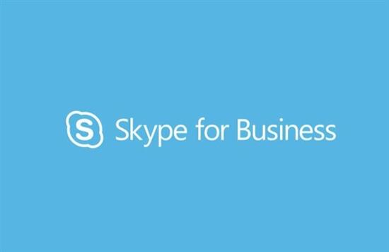 skype苹果版_skype 苹果版
