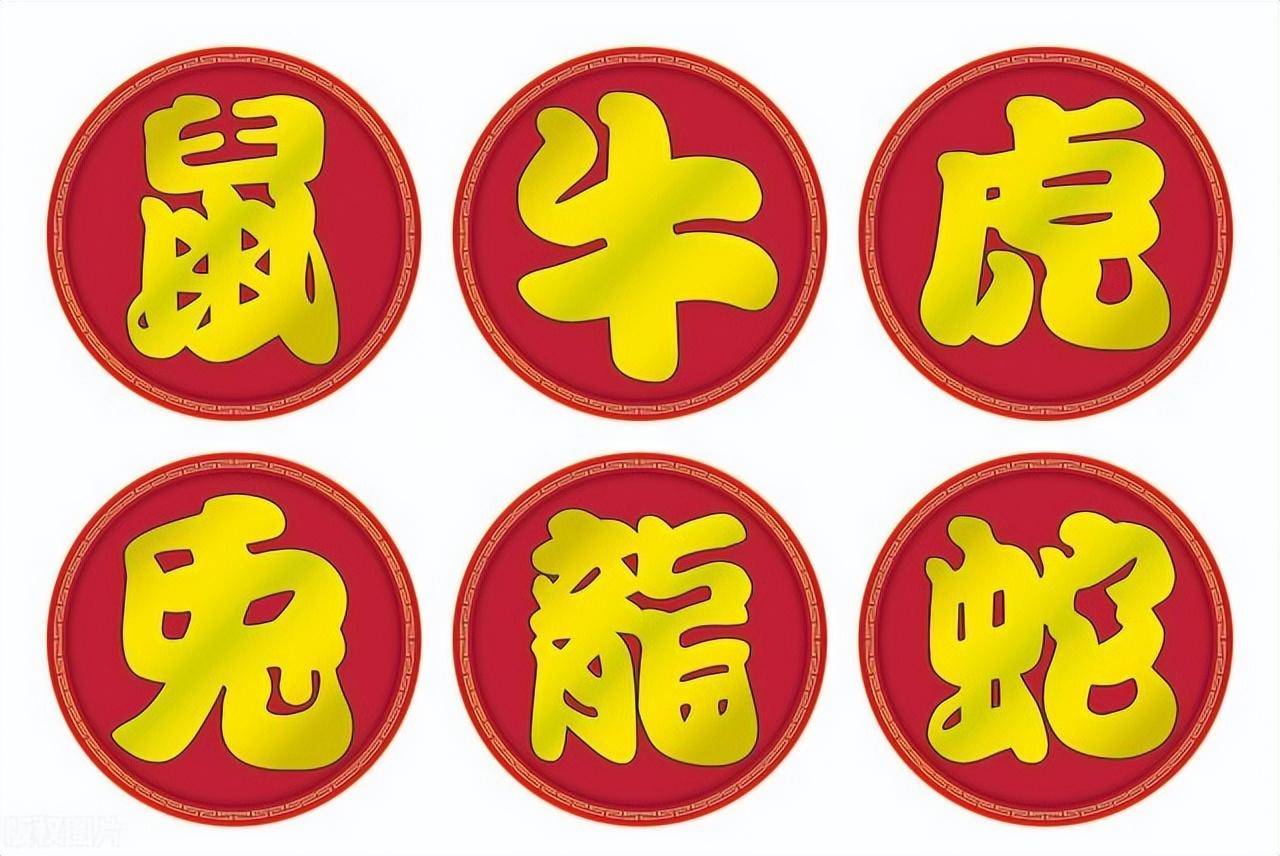 今期生肖六六来什么意思_2006年生肖狗命运如何