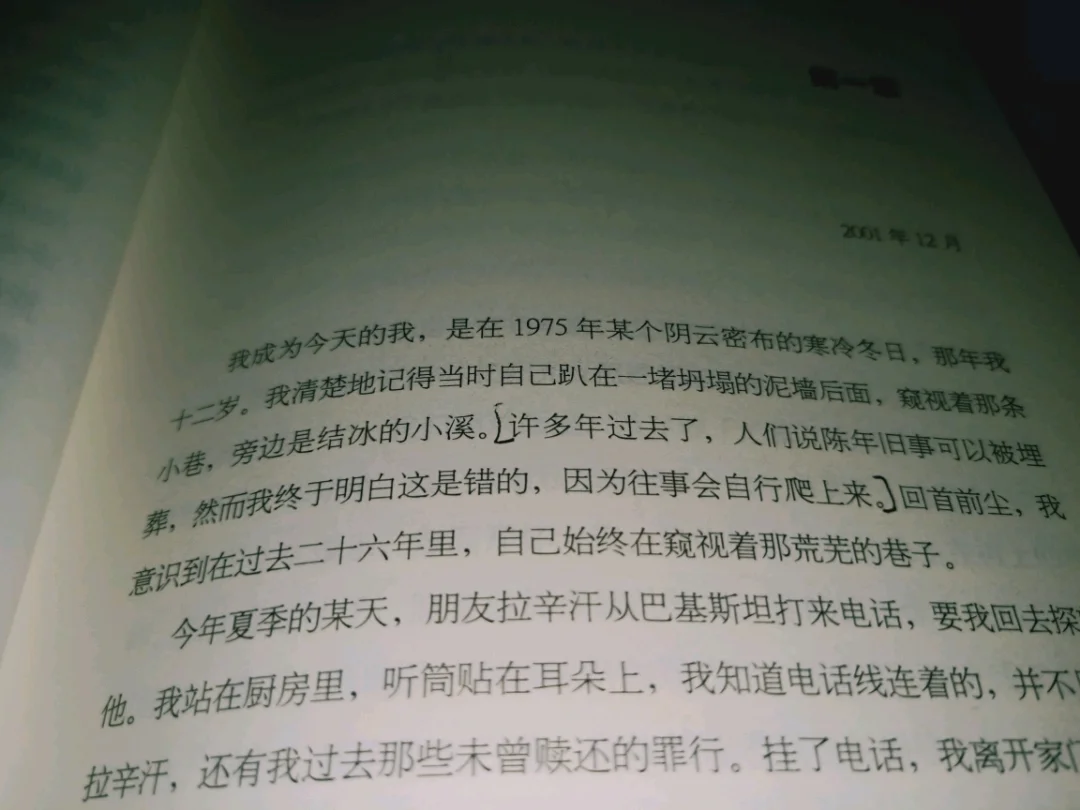 铁骨小说_铁骨小说免费阅读全文