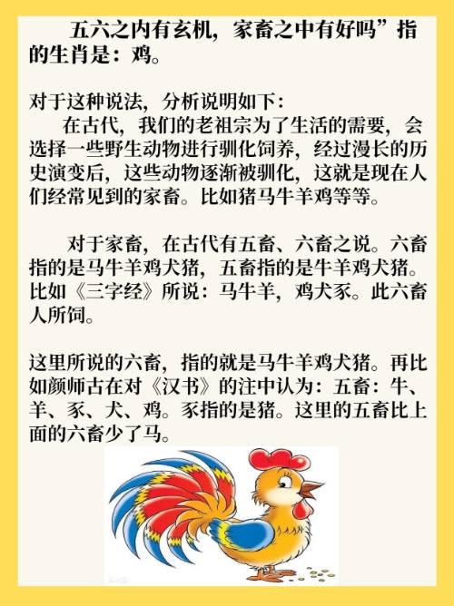 今期六字出玄机准确生肖_今期出码二六九指什么生肖