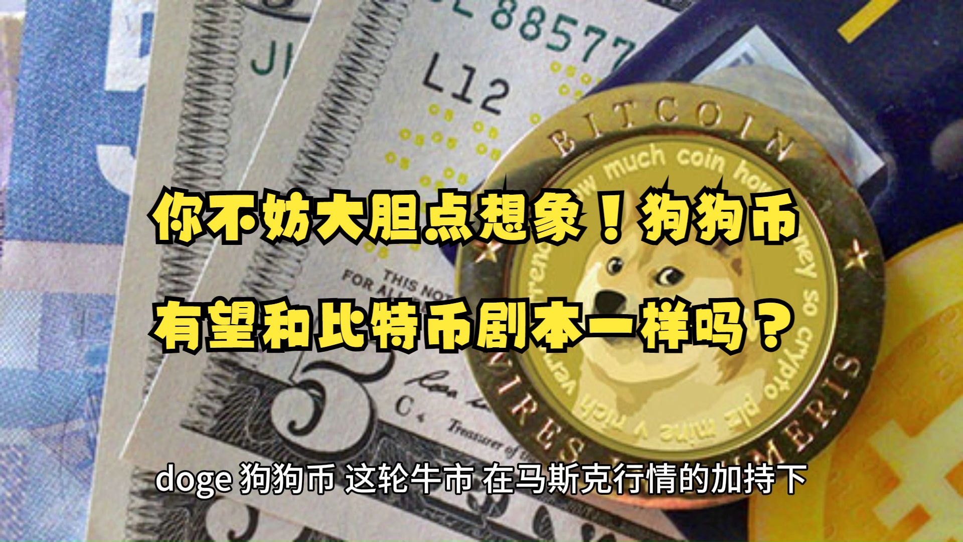 狗狗币行情_狗狗币行情美元