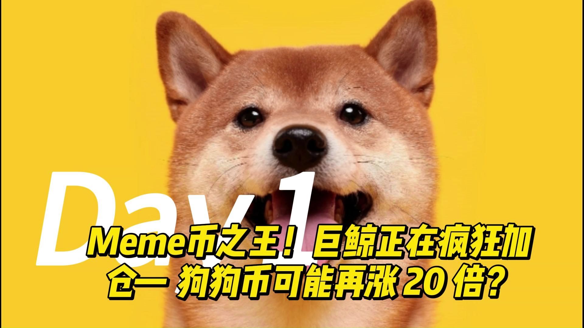 狗狗币翻了26万倍过程_狗狗币暴涨的真相竟是传销组织在作怪