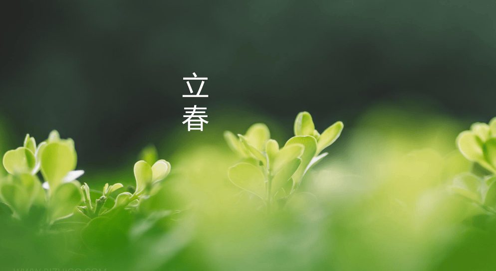 立春猜什么生肖_立春猜什么生肖最准确
