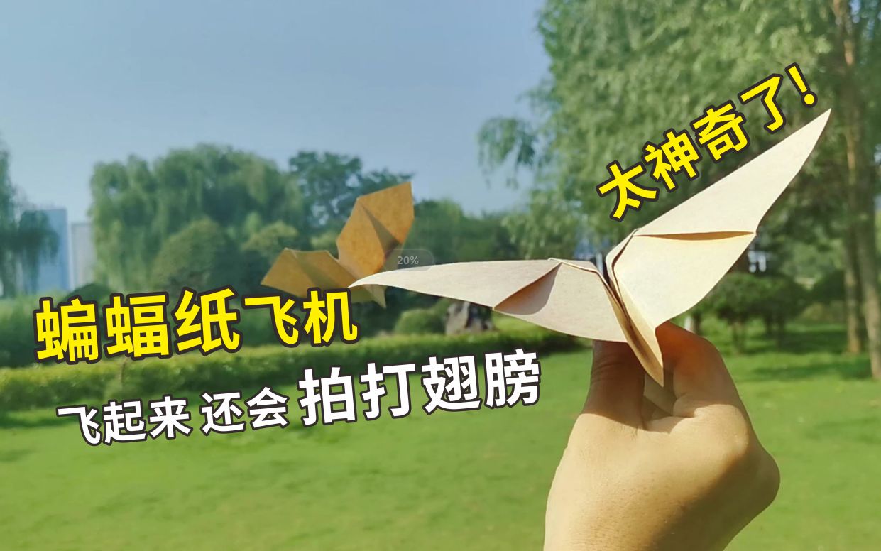 蝙蝠app和纸飞机哪个好_蝙蝠聊天2024最新版下载安装