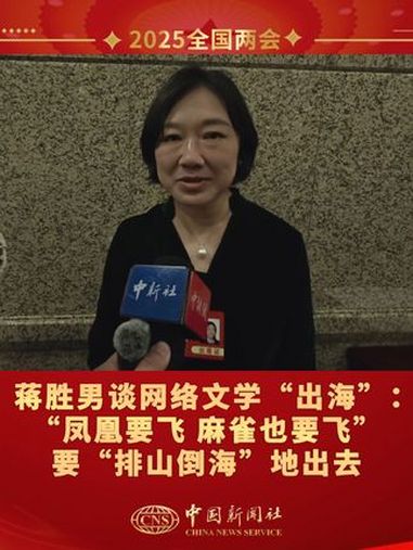 包含蒋胜男谈Fendi中国结事件的词条