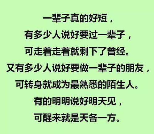 一条半是什么意思_一半是什么意思数学