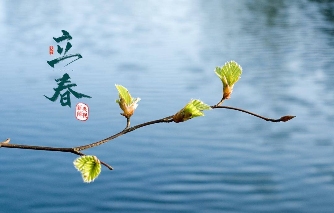立春打一准确数子_立春打一生肖或一数字