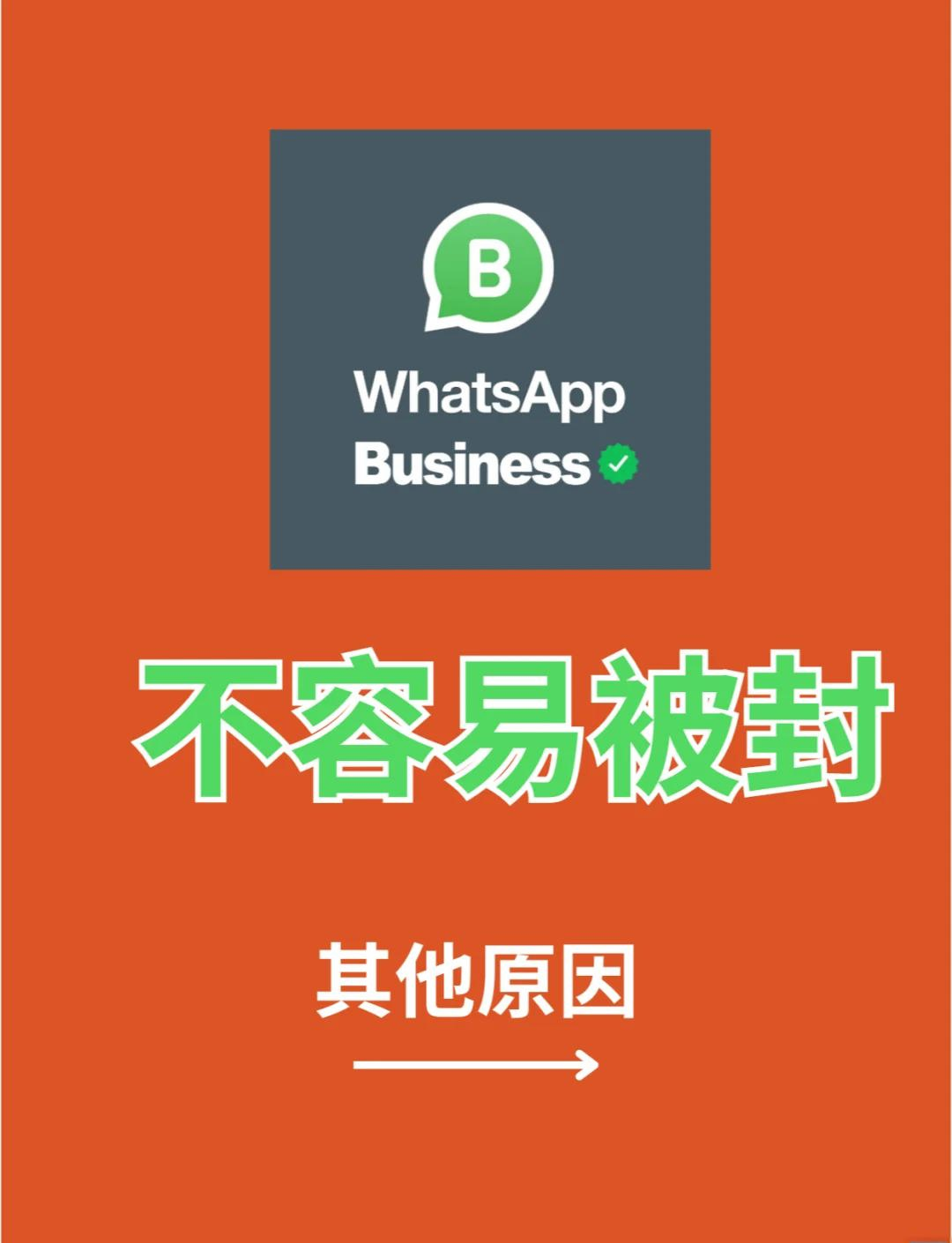 whatsappbusiness安卓版下载_whatsappbusiness最新版官方网下载