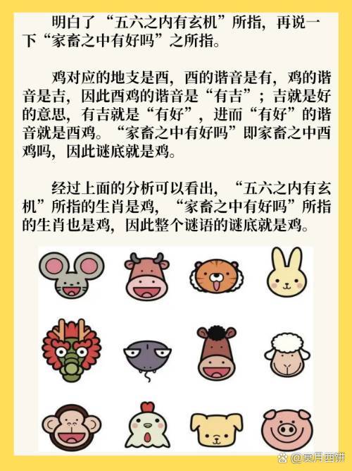 今期玄机三六点是什么生肖_玄机三六点代表什么生肖或数字