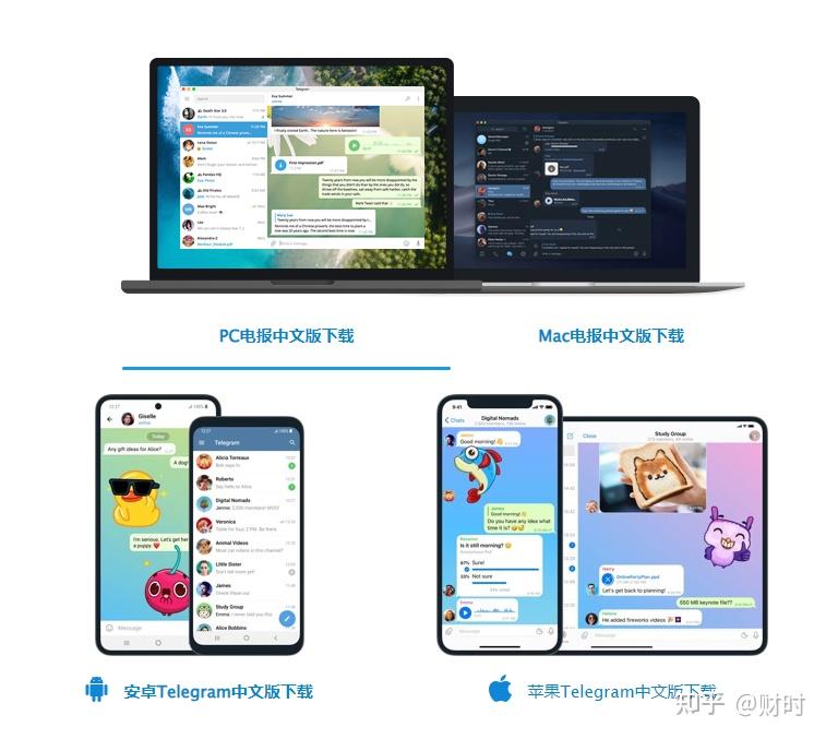 telegraph下载电脑版_telegraph安卓中文版下载