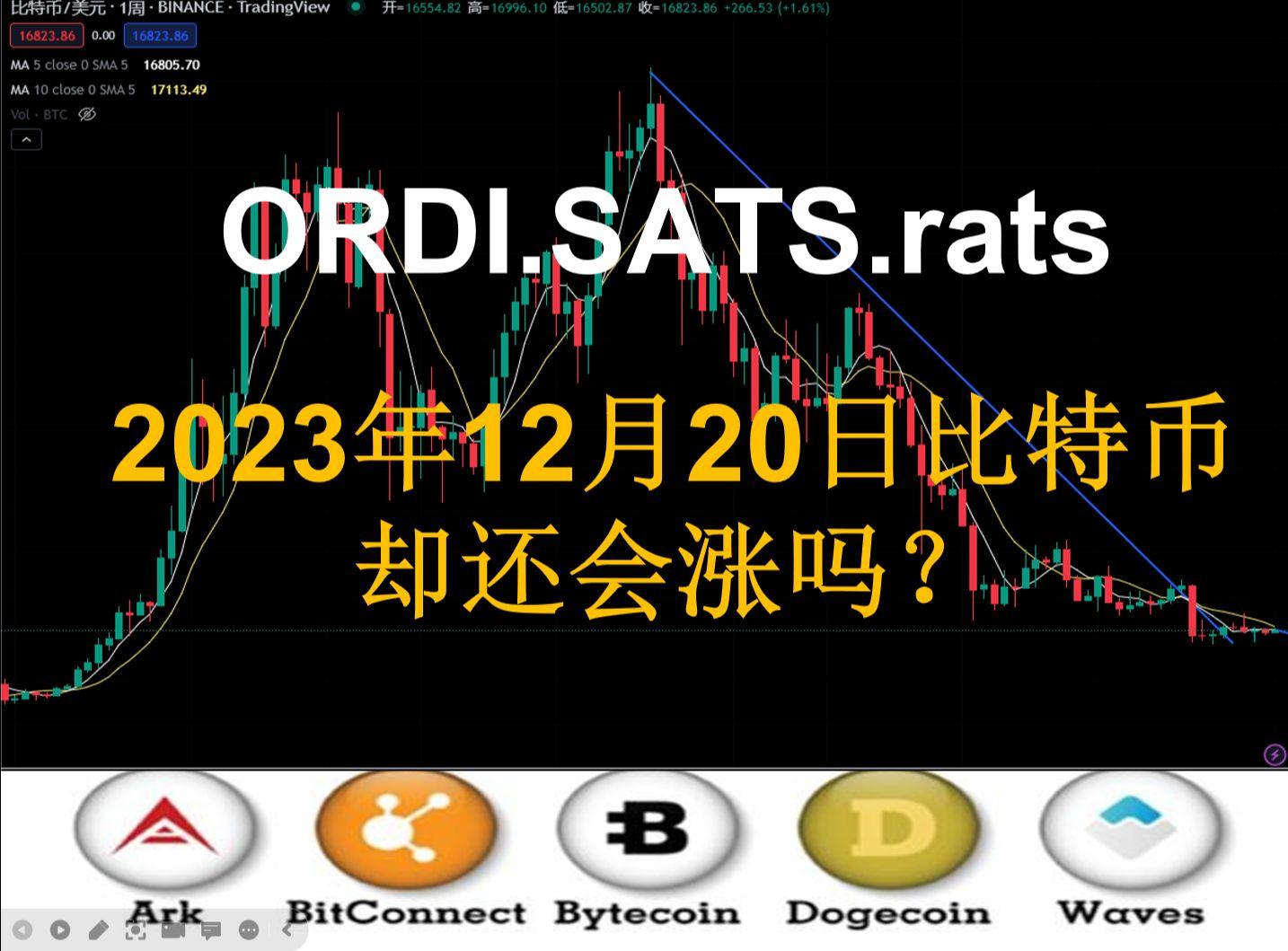 SATS币最新预测_sats币最新预测消息