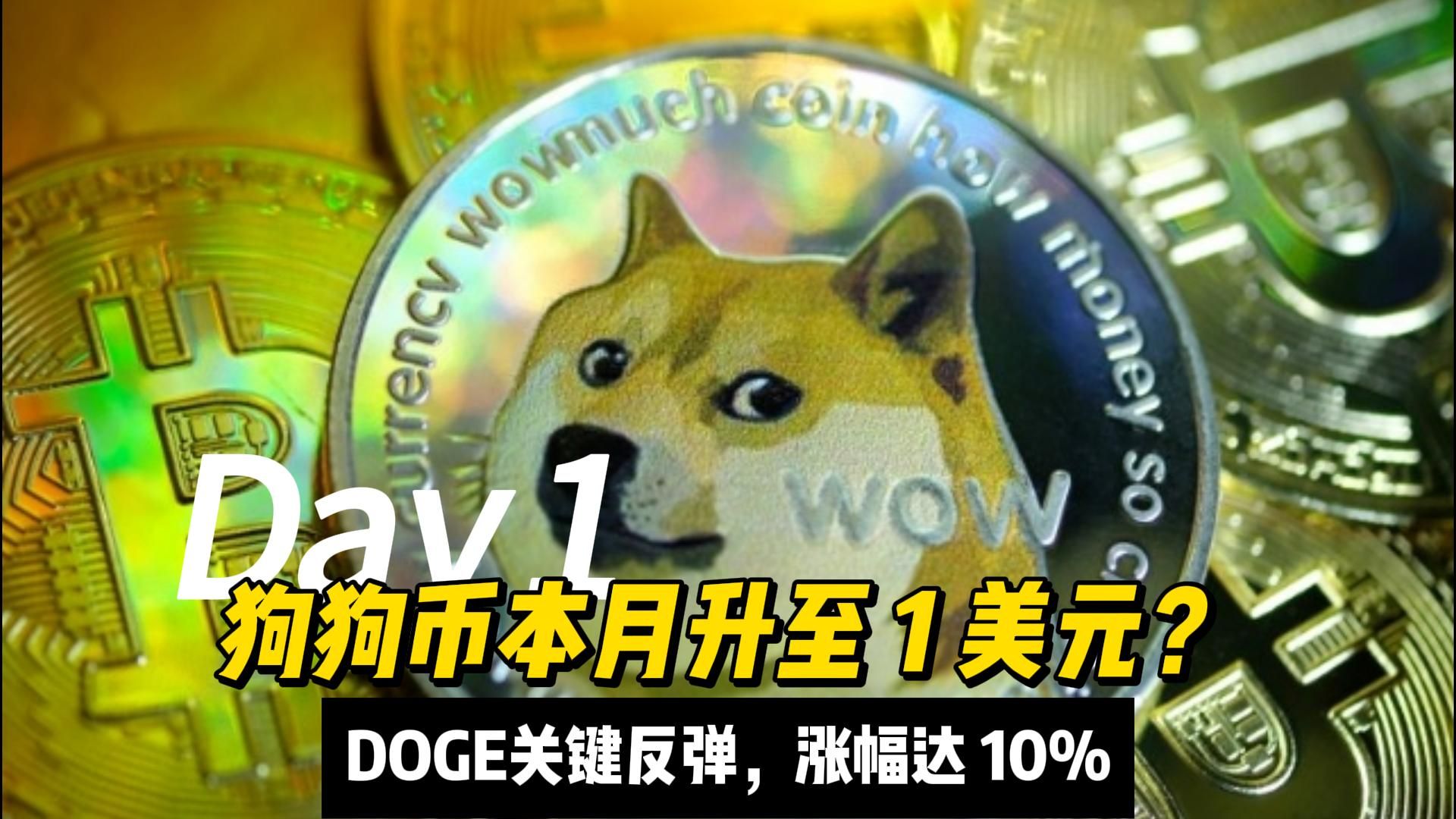 狗狗币官网登录入口_狗狗币官网,狗狗币简介