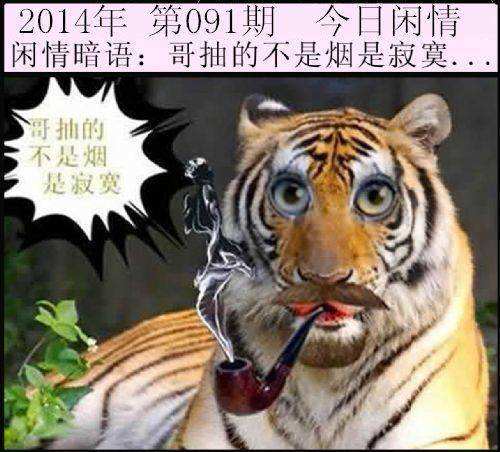 六部玄机码中码猜一生肖_六部玄机码中码,吉日升腾果遂期
