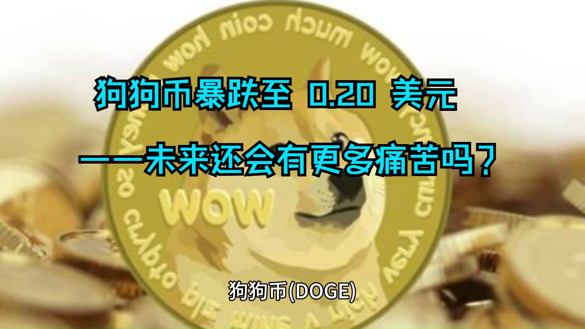 doge狗狗币最新行情分析_dogecoin狗狗币今天价格