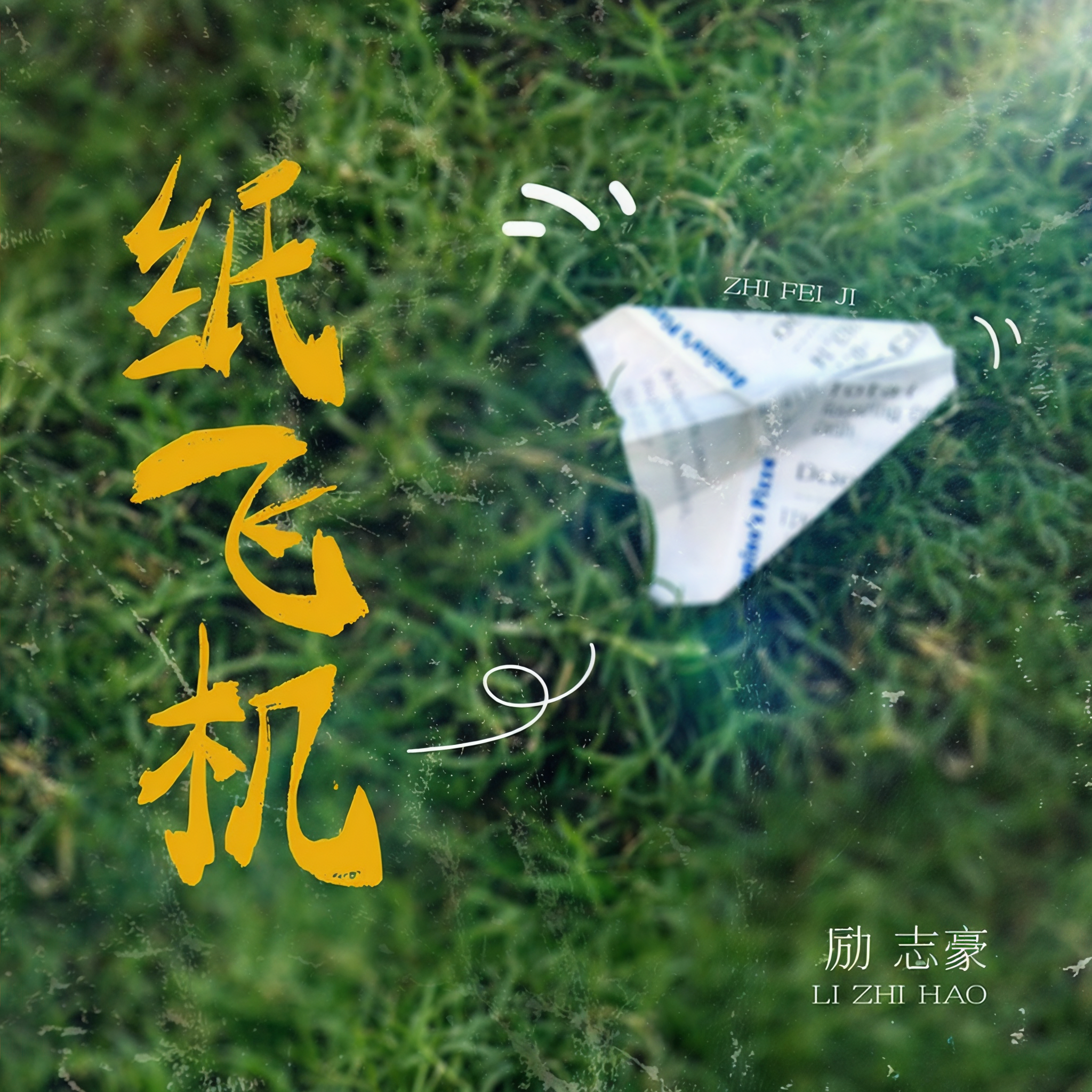 纸飞机在线登录_纸飞机testflight