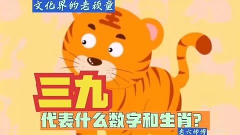 关于半条打最佳生肖和数字的信息
