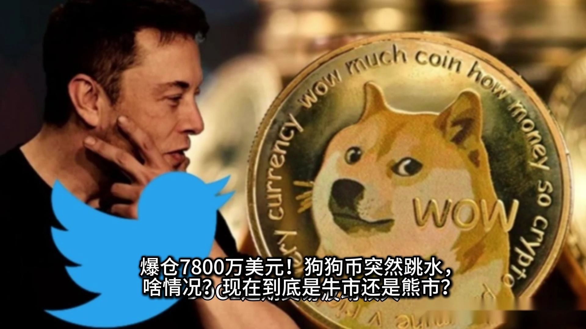狗狗币美元_狗狗币美元最新价格美元