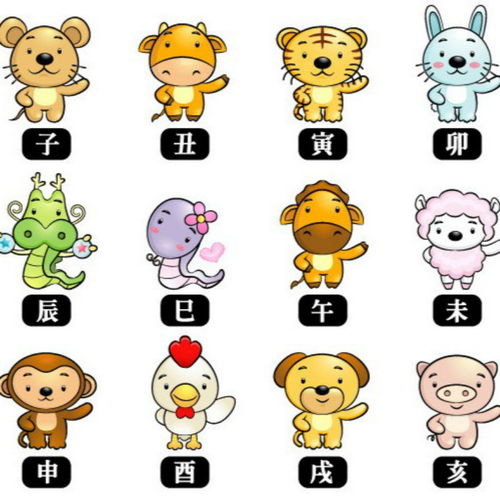 代表最佳生肖_苦海代表最佳生肖
