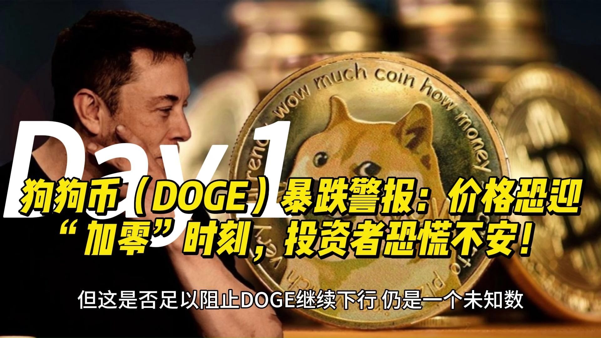 狗狗币开始暴跌了_狗狗币暴跌最新消息