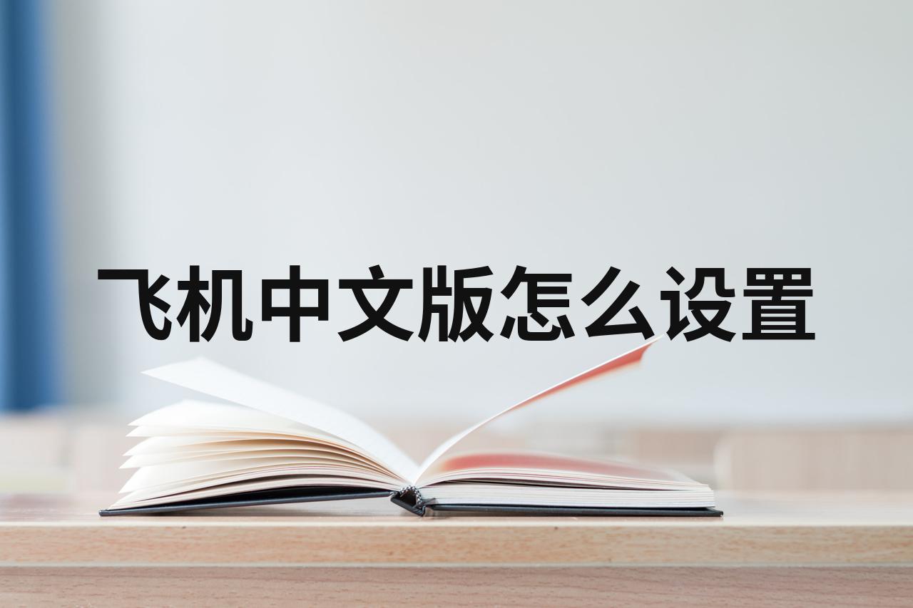 飞机在哪里设置中文_飞机在哪里设置中文显示