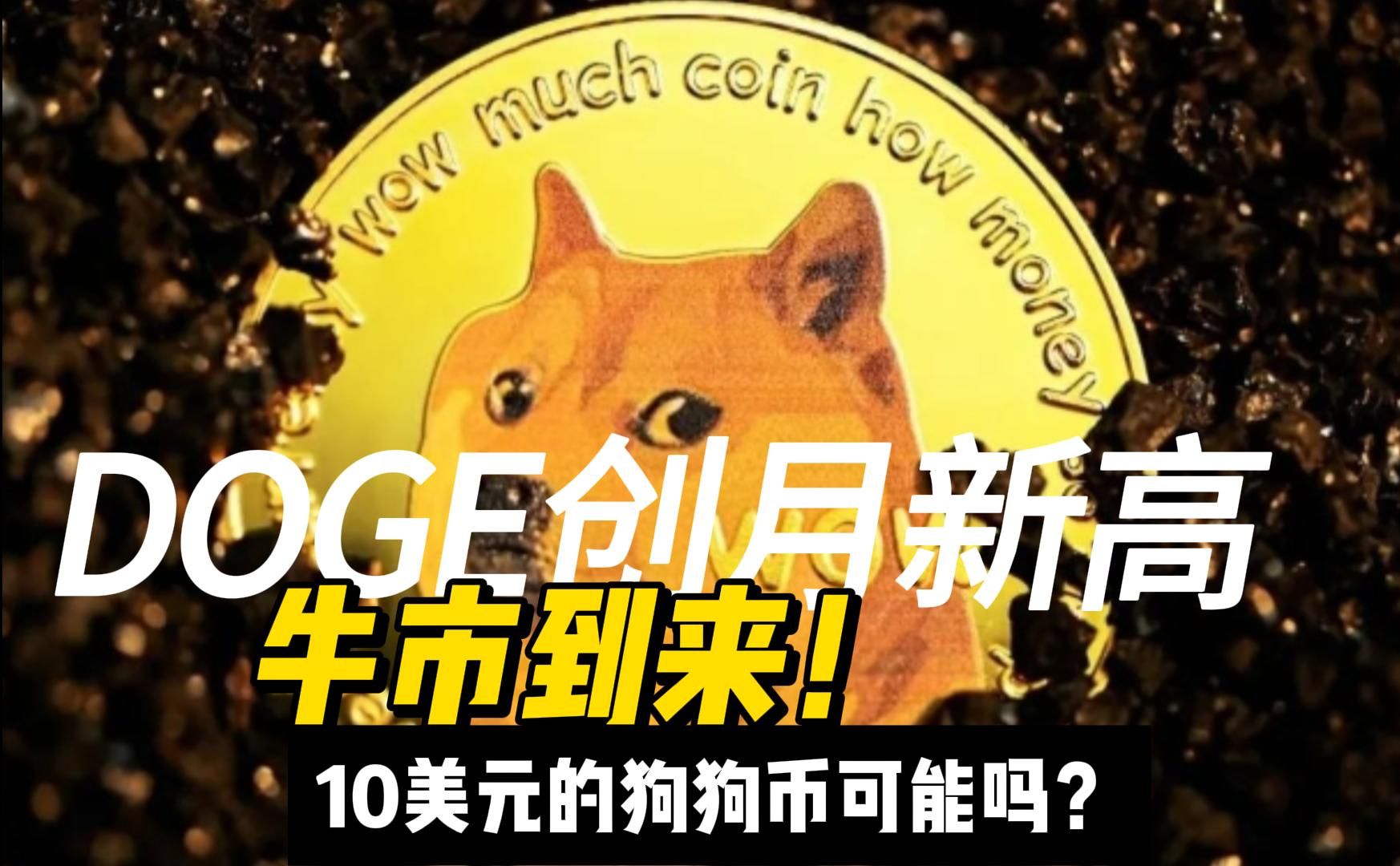 狗狗币今日兑美元_狗狗币价格今日行情美元兑人民币
